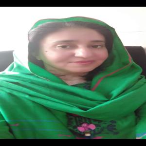 Asst. Prof. Dr. Shaheen Khan Bahadar Awan